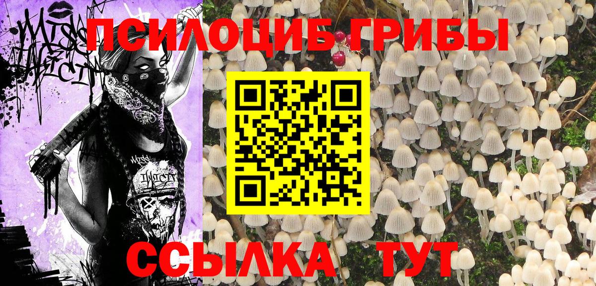 Десногорск  Галлюциногенные грибы GOLDEN TEACHER  Вход с VPN 