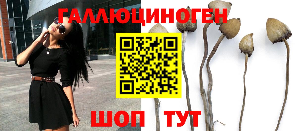 Псилоцибиновые грибы мухоморы Десногорск